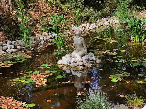 Le Jardin d'Eau aux Jardins de l'Ange - Château de Verdalle, Tarn, France