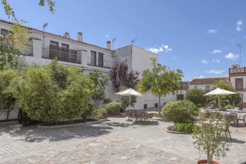 jardin, patio, aire, libre, hotel, entreolivos, sierra norte de sevilla