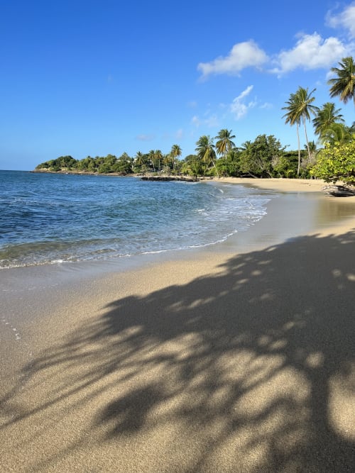 Tropical nautique plage mer horizon écume gros raisin rochers 