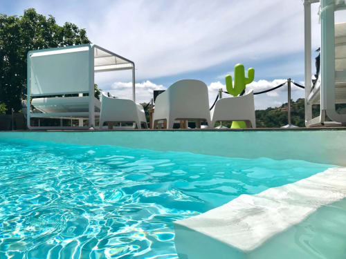Espace piscine luxe Villa Colina à Mandelieu avec eau turquoise, transats modernes, décoration cactus et vue méditerranéenne