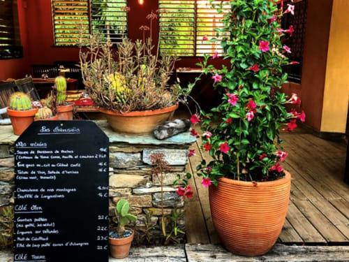 Terrasse Le Maquis Plage avec sièges, fleurs roses en pots et cactus, Poggio-Mezzana, France