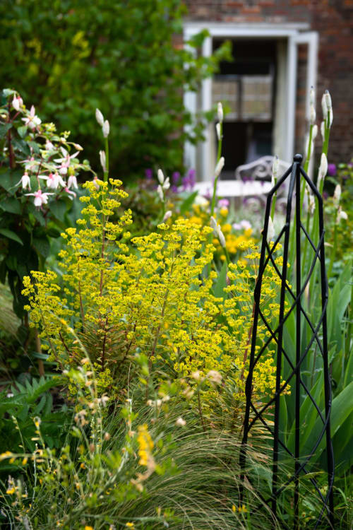 Barton Cottage - Bed and breakfast, b&b, village getaway, Broadmayne, Dorchester, Dorset