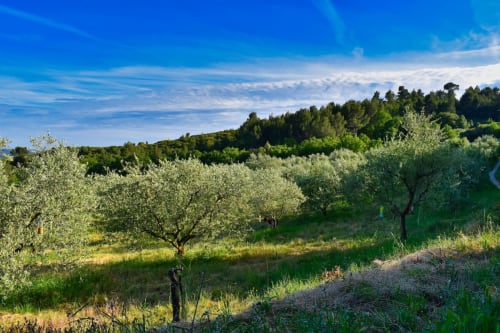 Les Jardins de Sitaara - charming guest house Cucuron, countryside, Luberon, fully equipped house with pool, family, friends, couple 