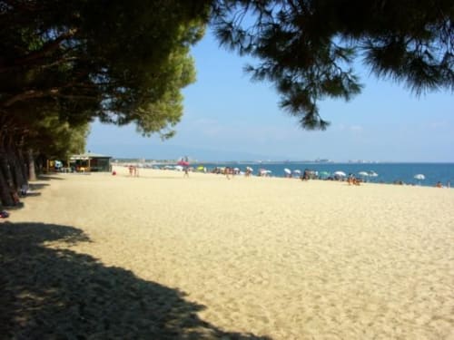 Plage de sable avec pins à Torre Grande Oristano, Italie. Eau et ciel bleu clair avec des baigneurs profitant de
