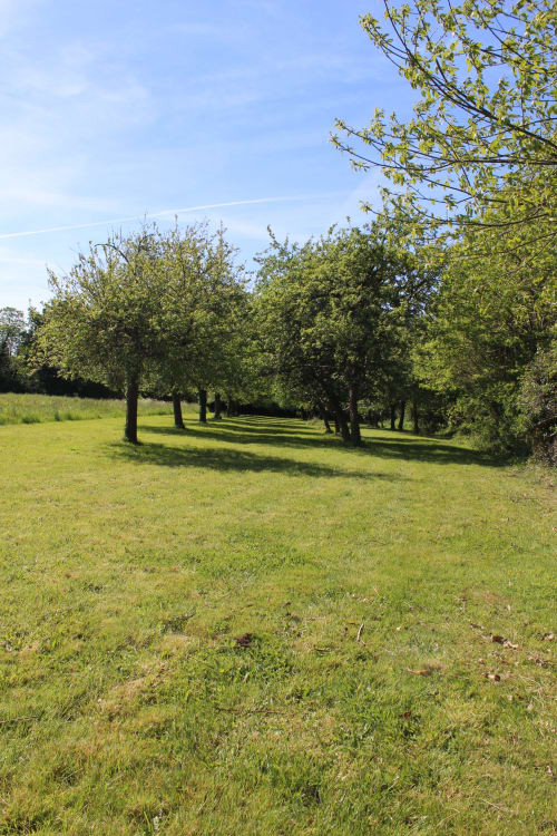 Prairie verdoyante avec allée bordée d'arbres aux Gîtes De L'odet, Clohars-Fouesnant, Bretagne