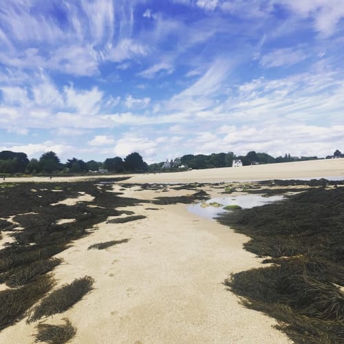 Plage de marée côtière aux Gîtes De L'odet à Clohars-Fouesnant avec algues, chenaux de sable et campagne verdoyante