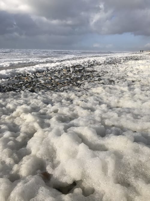 Vagues écumantes et coquillages sur la côte de Clohars-Fouesnant près des Gîtes De L'odet