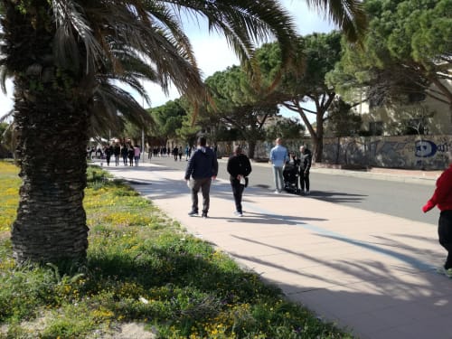 Place piétonne ombragée à Torre Grande Oristano avec visiteurs se promenant sous les palmiers et la végétation méditerranéenne