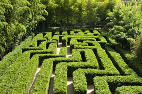 Labyrinthe dans la Bambouseraie d'Anduze, paysages luxuriants et verdoyants