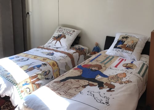 chambre Mr L  avec TITIN de l'Escale en Beauce chambre d'hotes