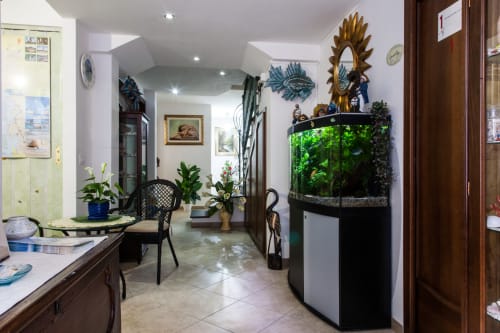 Area reception di Al Mare & Acquamarina a Torre Grande con acquario, specchi decorativi e piante tropicali