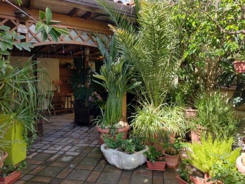 Lush garden courtyard with potted plants at Affittacamere Al Mare, Torre Grande Oristano