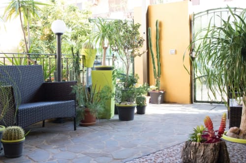 Sunny terrace with seating, lush plants, and yellow wall at Affittacamere Al Mare in Torre Grande, Oristano