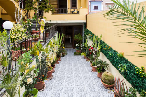 Rigoglioso giardino di corte all'Affittacamere Al Mare a Torre Grande, Oristano, con piante in vaso e sentiero lastricato