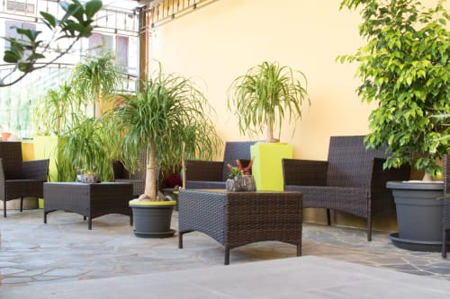Area lounge esterna presso Affittacamere Al Mare & Acquamarina a Torre Grande Oristano con sedie in vimini e rigogliosa vegetazione