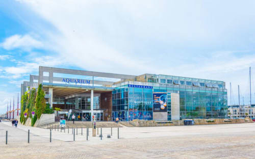 Visite de l'Aquarium de La Rochelle en Charente-Maritime : une activité familiale idéale à seulement 30 minutes de la maison d'hôtes La Chabanaise en Marais Poitevin.