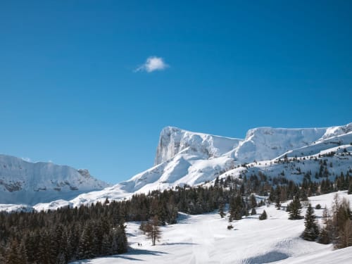 location la Joue du loup, Oreeduloup, montagne, ski, chalet Japp'loup 10/12 personnes, chalet Grand Loup 14/16 personnes, hameau des cimes, eden des cimes, studio ptilou B36, mélezes des chaumâtes
