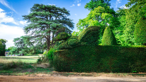 taupière parc chateau château coq