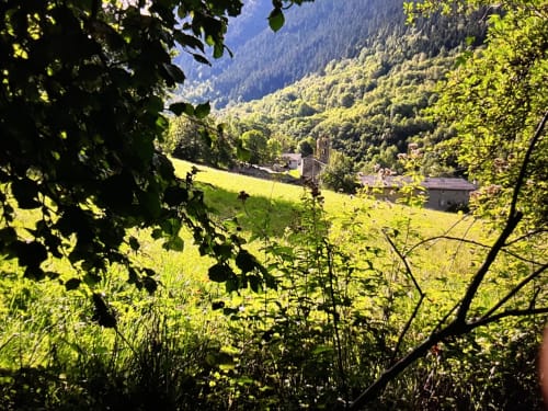 Village d’en haut - Champ - Printemps - Prairie 