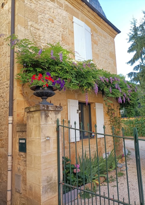 la Glycine chez - Chambres d'hôtes Chez Alisa et Daniel