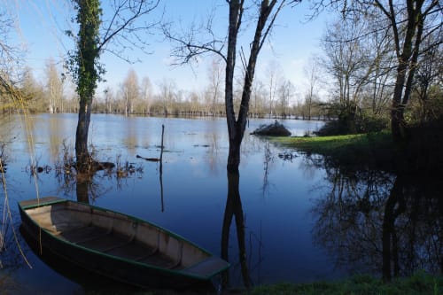 Evail Crue Nature Chambre d'hôtes Bateau