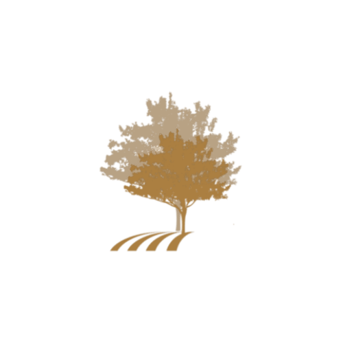 Golden tree with plowed field representing Saint Martin bed and breakfast in Ollioules, France