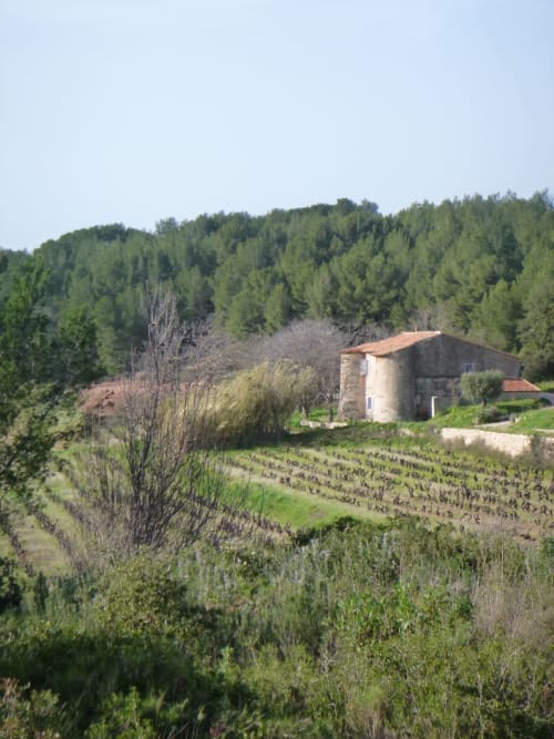 Domaine de Nartette-Conciergerie des Lecques- La Madrague
