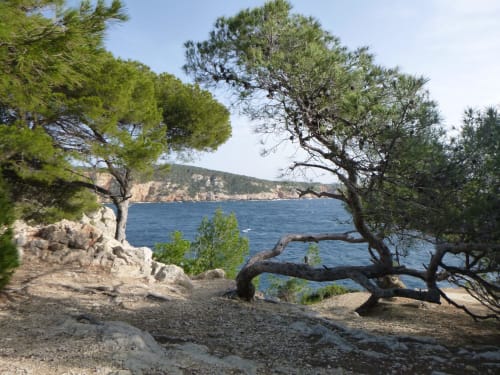 Saint Cyr Sur Mer - Conciergerie Des Lecques - Location courte durée et services aux propriétaires