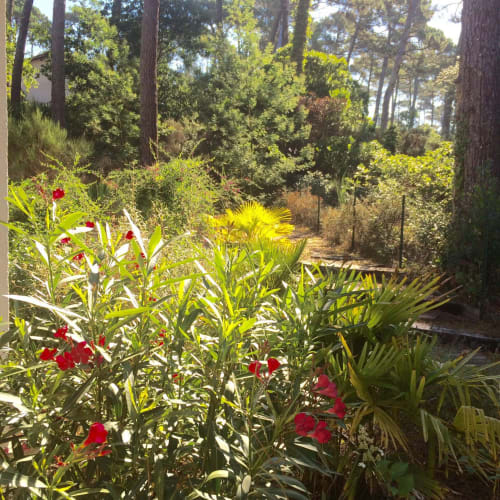 Dream Properties - villa avec piscine Pyla-sur-Mer, vacances amis 