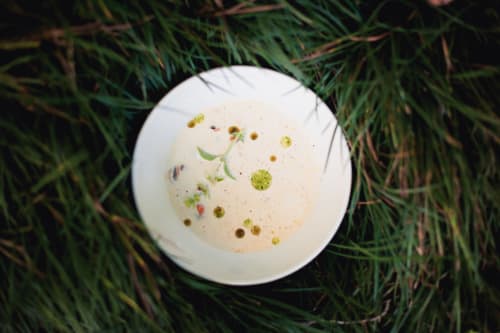 Plat élégant au Mas de Lafeuillade, Montpellier - soupe crémeuse aux câpres et microgermes sur assiette blanche
