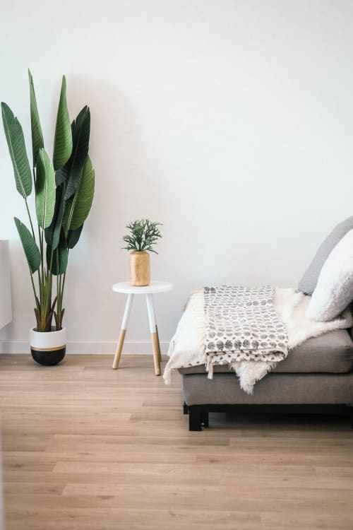 Scandinavian decoration, indoor plant, cozy living room