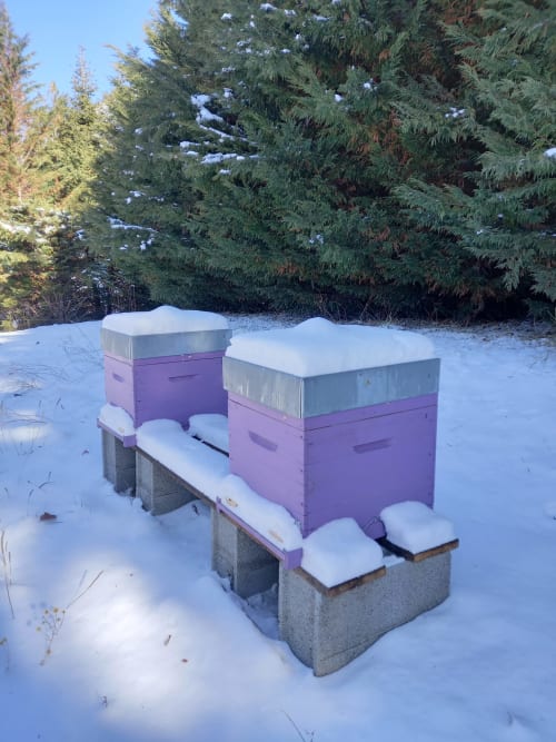 Ruches de La Méridienne au repos en hiver. Bientôt du miel maison