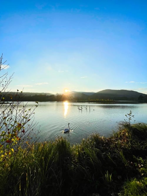 Hôtel-Restaurant du Lac 31, à Boussens au sud de Toulouse en Occitanie