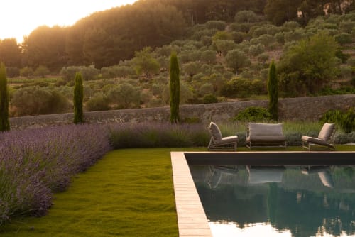 Luxurious poolside lounge at Saint Martin B&B in Ollioules, surrounded by lavender and cypress trees at sunset