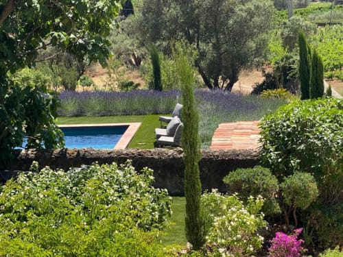 Saint Martin B&B garden in Ollioules with pool, lavender beds, cypress trees, and lounge chair