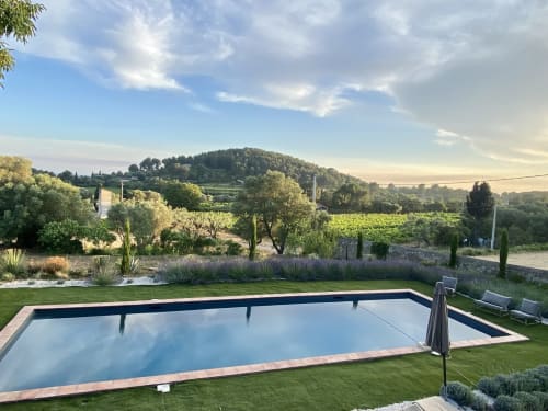 Saint Martin BnB pool overlooking Ollioules vineyards and lavender gardens in Provence, France
