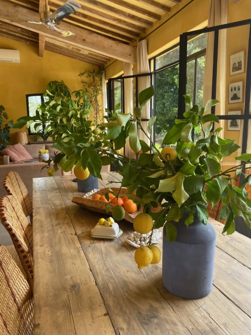 Salle à manger ensoleillée jaune citron au gîte Saint Martin à Ollioules avec plant de citronnier et table en bois