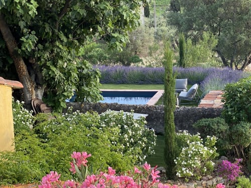 Saint Martin B&B garden in Ollioules with lavender, pink flowers, pool, and cypress trees