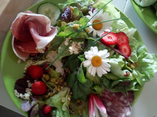 Artfully plated salad with fresh greens, strawberries, daisies, and edible flowers at Furanelle B&B, Saint Etienne