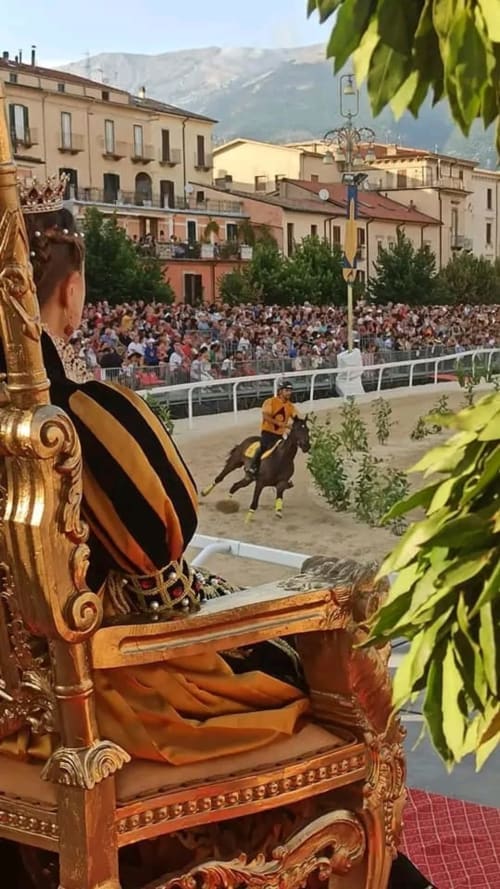 Ornate golden chair overlooking Sulmona town square with horse and rider performing at Stella CasaBono hotel