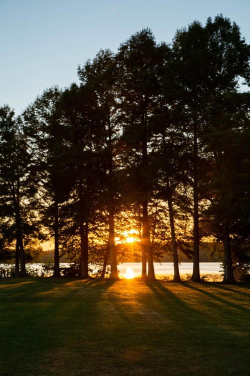 Les couchers de soleil sur le lac de Soustons depuis la pointe des vergnes n'ont rien à envier à ceux de l'océan