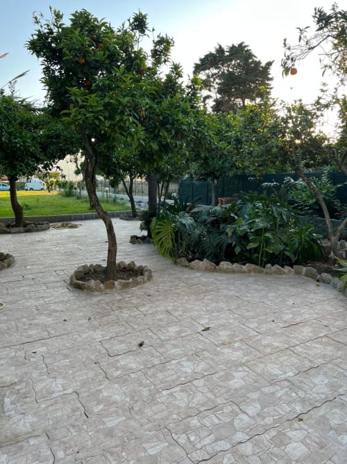 Giardino interno di Palazzo Porta con alberi da frutto, vialetto pavimentato e vegetazione rigogliosa a Procida