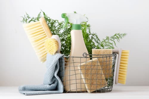 Produits de nettoyage écologiques avec brosses, vaporisateur et plantes vertes pour l'entretien Conciergerie Des Climats