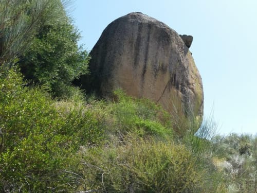 Large rounded boulder surrounded by green vegetation at Casa das Jardas rural accommodation in Ladoeiro, Portugal