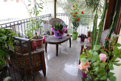 Rigoglioso giardino in balcone ad Affittacamere Al Mare, Torre Grande Oristano, con piante fiorite e sedute in vimini affacciate su