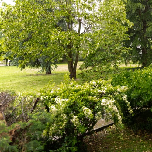 Le petit Barclay Metz location airbnb conciergerie conseil rénovation décoration investissement locatif Metz Thionville Luxembourg