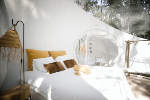 Merlot Hébergement en Bulle Spa Insolite Luxe Bordeaux Gironde Aquitaine pour Couple Romantique et Amoureux