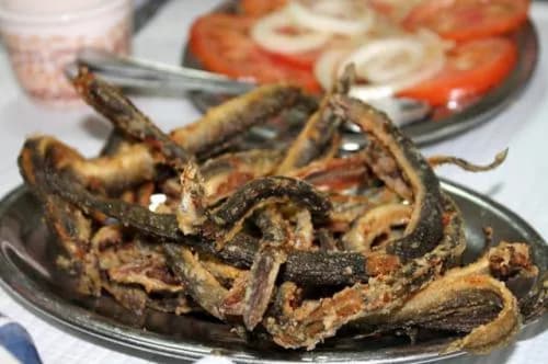 Grilled squid and tomato slices at Kindnessmoon guesthouse in Óbidos, Portugal