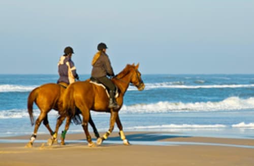 Zwei Reiter auf kastanienbraunen Pferden am Sandstrand mit Meereswellen in Torre Grande Oristano