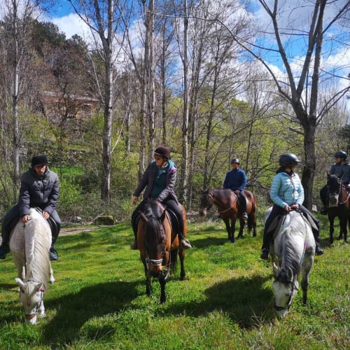 Paseo a caballo en grupo por sendero forestal en La Posada Del Tietar, Santa María del Tiétar, España